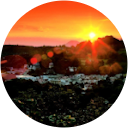 Yume Neko profile picture