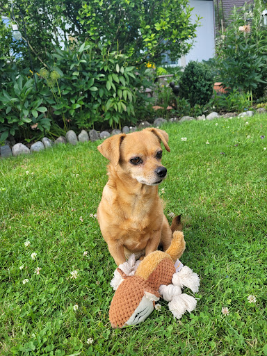 Photo from customer review