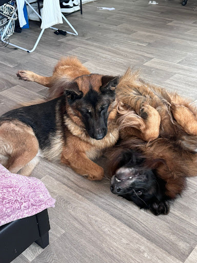 Photo from customer review